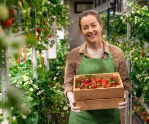 productos agrícolas